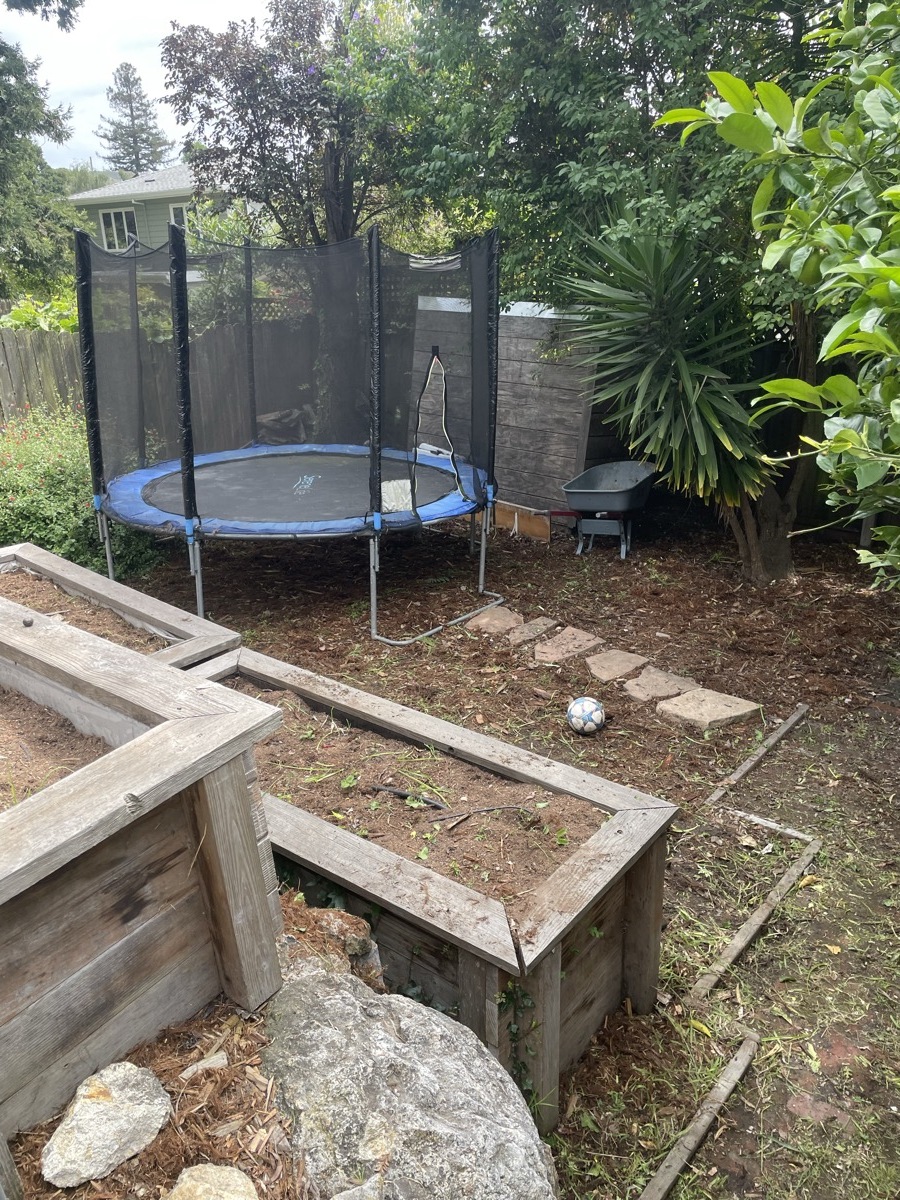 Clean yard after Live Oak cleanup